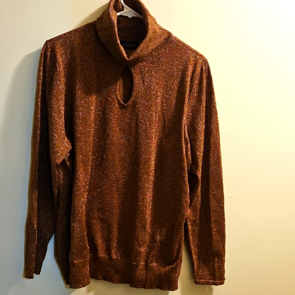 Lane Bryant Brown Turtleneck Sweater